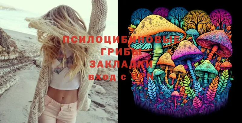 Галлюциногенные грибы MAGIC MUSHROOMS Кировск